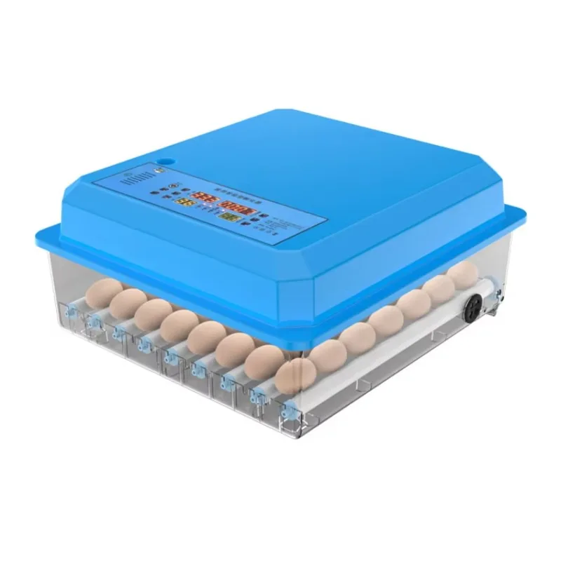 56 Eggs High Hatching Rate Automatic Mini Egg Incubator For Hatching Eggs