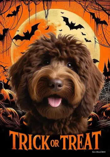 Goldendoodle Chocolate Trick or Treat Halloween Flag