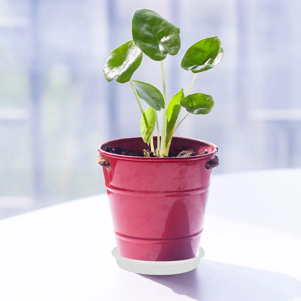 

10pcs Round Flowerpot Trays Plastic Saucers for Potted Plants Clear Plant Saucers Stable Transparent 140 Model Plant Water Tray