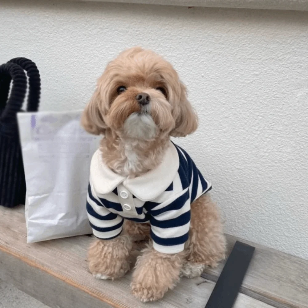 Fashion Collared Style Dog Striped Shirt Breathable Soft Dog T Shirts Comfortable Cooling Vest Pet Hoodie Outdoor Activities