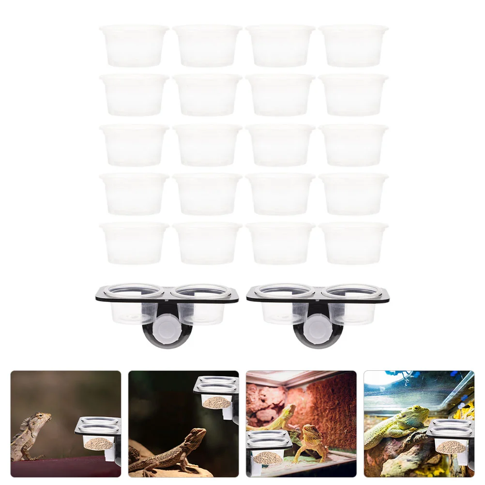 Reptile Bowl Water Feeder Food Feeding Gecko Dish Lizard Ledge Cup Basin Turtle Container Supplies Stable Feeders Worm Tank