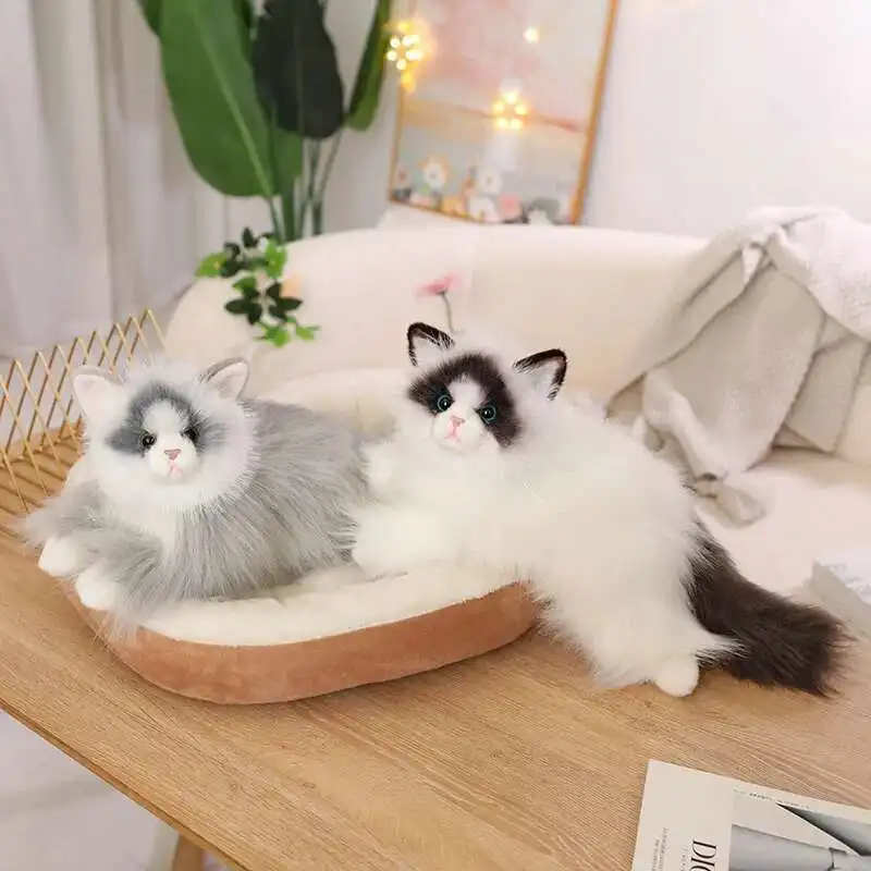 

Очаровательная имитация тряпичной куклы, плюшевые игрушки для кошек, пушистые довольно длинные волосы, реалистичные игрушки для котят, приятный семейный компаньон, реквизит для фотосессии