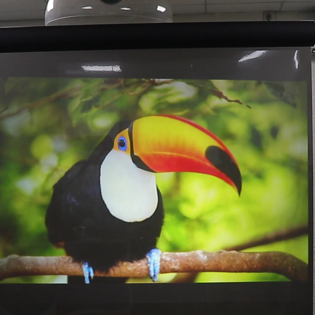 1.52x30m Black Projection Film Front Rear Projection for Shop Advertising Window Glass Film