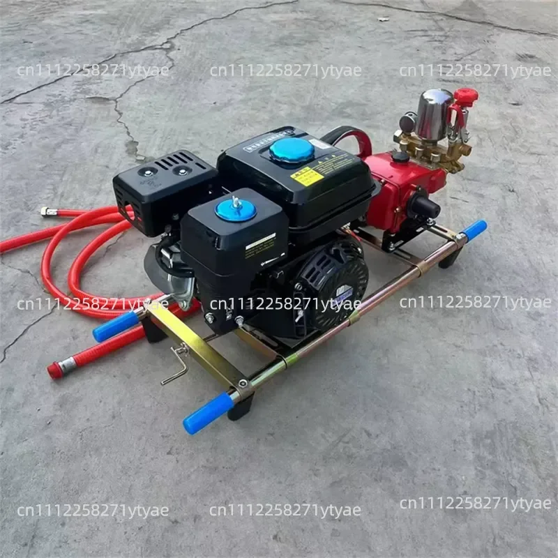 Portable 6.5hp  Powered Frame Agricultural Sprayer