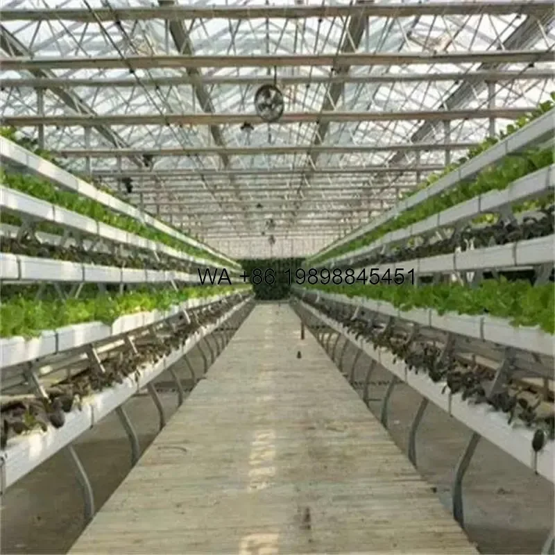 Wmwmnu for Modular A-Frame NFT Hydroponic System Smart Vertical Cultivation Matrix for Professional Agri-Tech Project
