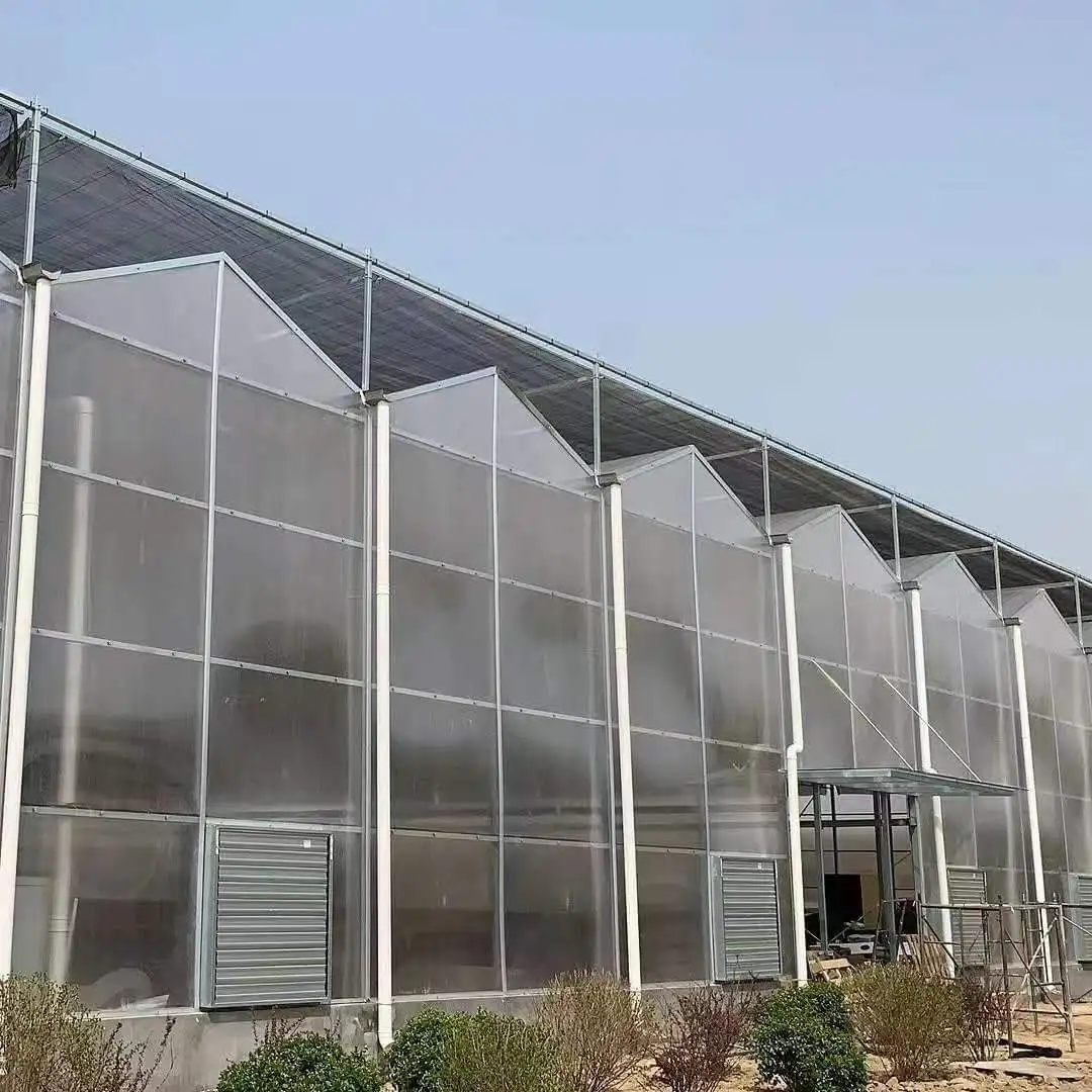 

Customized greenhouseTransparent Polycarbonate Greenhouse With Hydroponic System for Tomato Cucumber Pepper