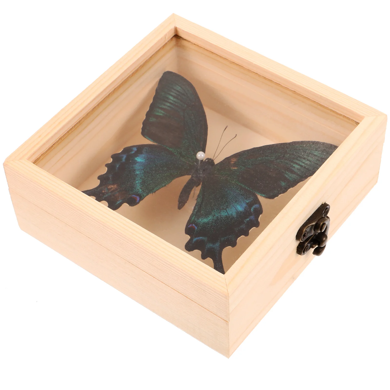 

Butterfly Specimen Decor Home nament Desktop Showcase Photo Frame Wall Hanging Insect Art Display Box Jewelry Gift