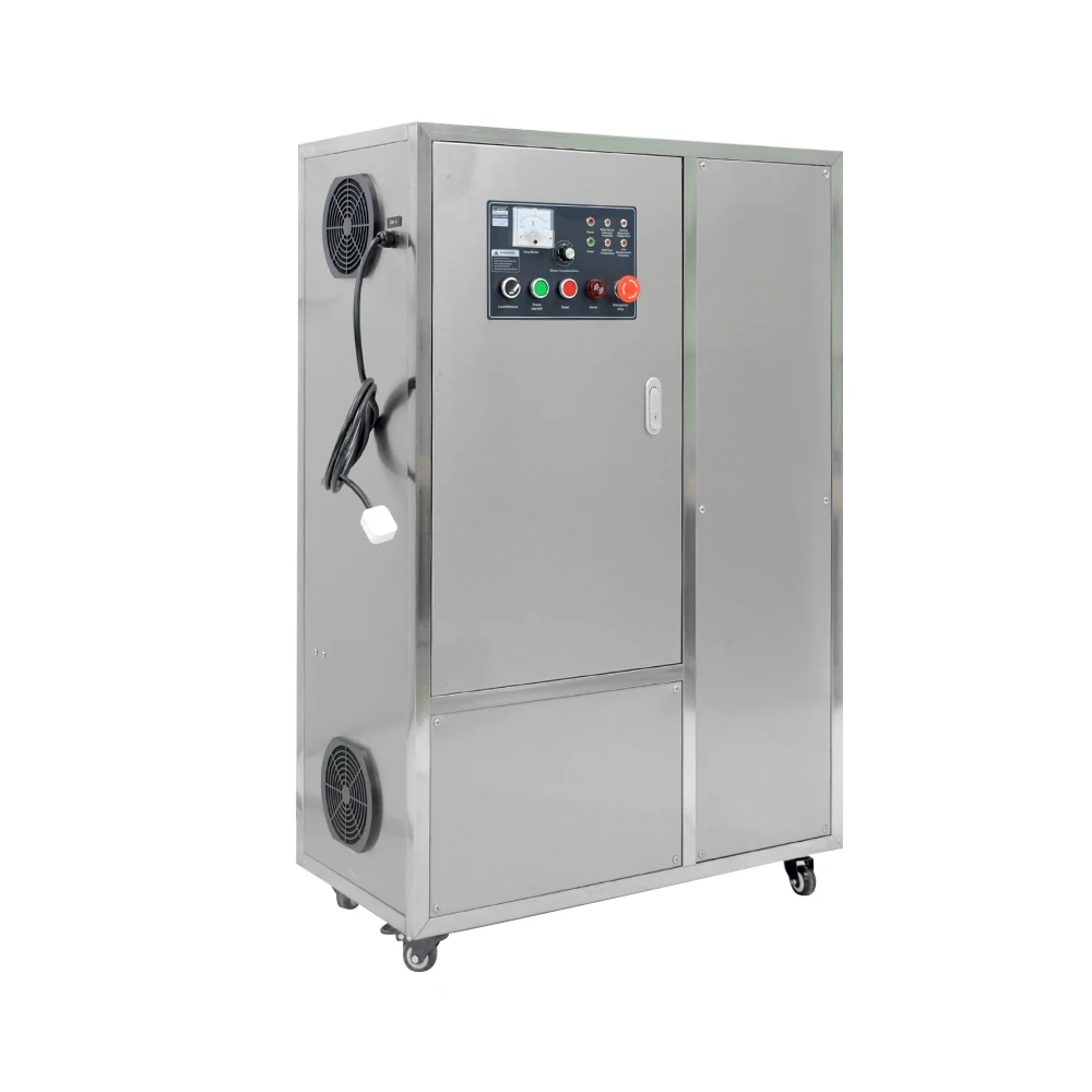 Generator Ozone Water Treatment 80g Air Water Purificaton Machine For Water Treatment