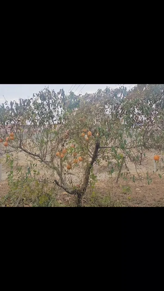 CNC تشكيله سبائك الألومنيوم سيرفو حامل S3003 سيرفو جبل ل RC طائرة قارب سيارة سيرفو #1