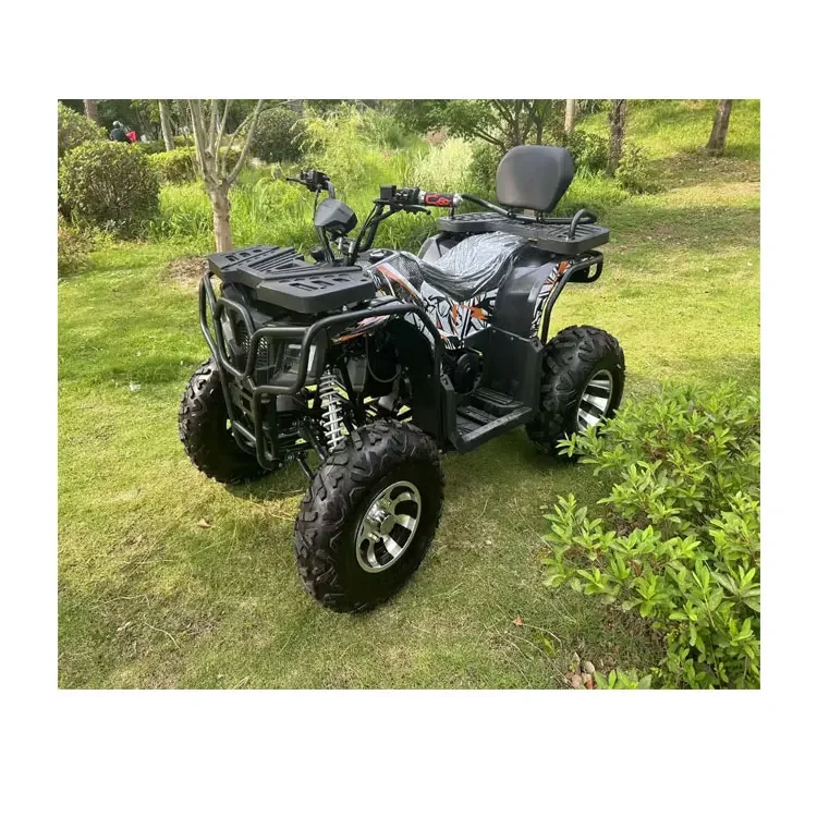 2024 Low Price Tao Motor Electric ATV Automatic 4-Wheeler With Chain Drive 2WD Quad Bike For Off-Road Vehicle For Beach/vacation