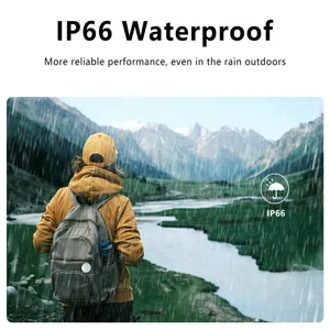 8 Main sales tracker for cats - №6