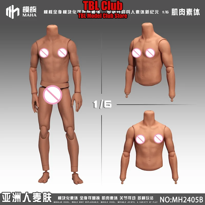 

1/6 Scale Male Body Lean Muscle Art Practicing Anatomy Life Drawing For 12-inch Action Figure Soldier MH2405A MH2405B MH2405C