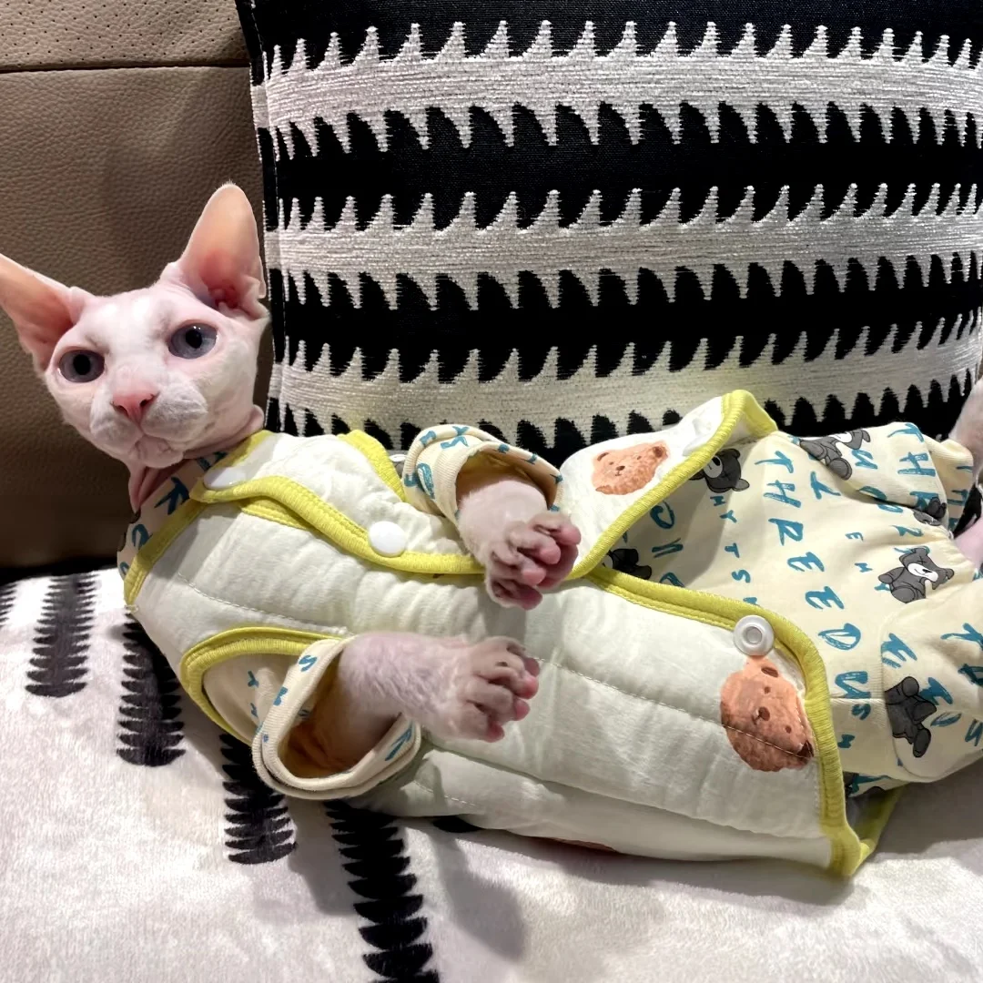 Jaket musim dingin kartun katun tebal untuk kucing Sphynx mantel kuning hangat musim gugur untuk anak kucing merah muda biru pakaian santai untuk Devon Rex