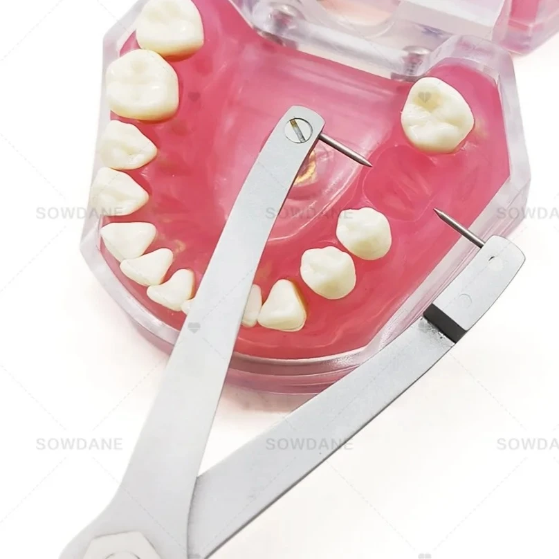 

H Lab Implants Ridge Mapping Caliper Lab Implants Surgicals Calipers Implant Gauge Stainless Steel Lab Pliers Tools