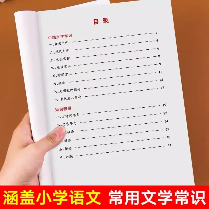 Handbook for Primary School Students To Accumulate Basic Knowledge of Chinese Language and Literature