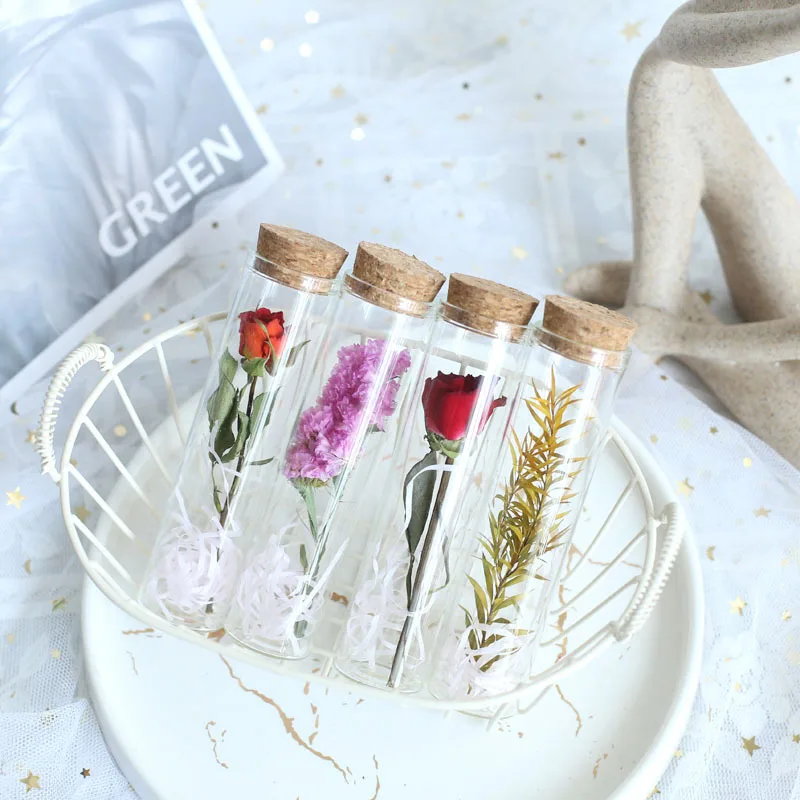 Mini bouteille de Press avec tube à essai en verre, fleur séchée, rose, gypsophile importale, compagnon créatif, cadeau de la journée de Léon, fleur Sechee