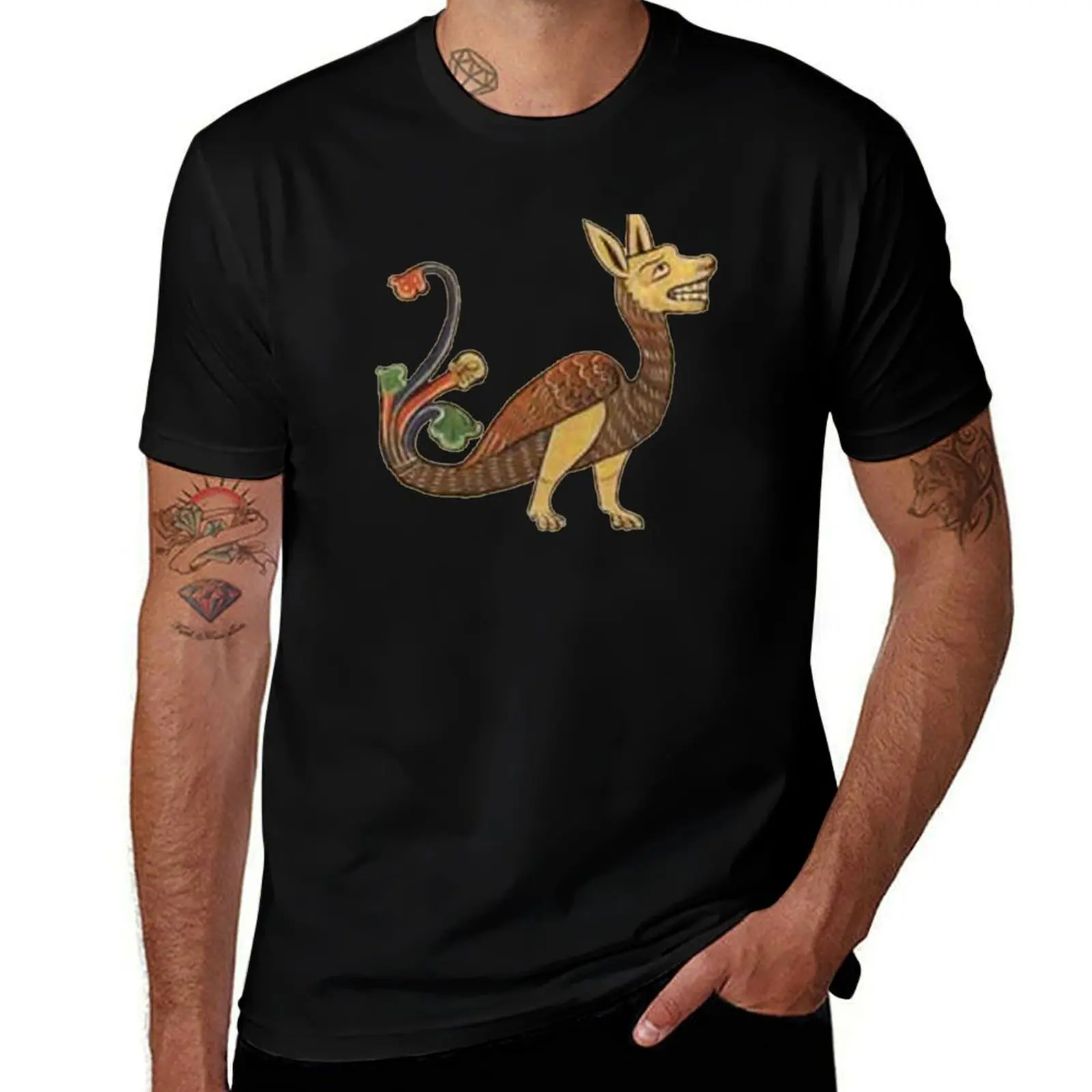 Medieval Creature Meme T-Shirt Plus Size Solid Color T-Shirt