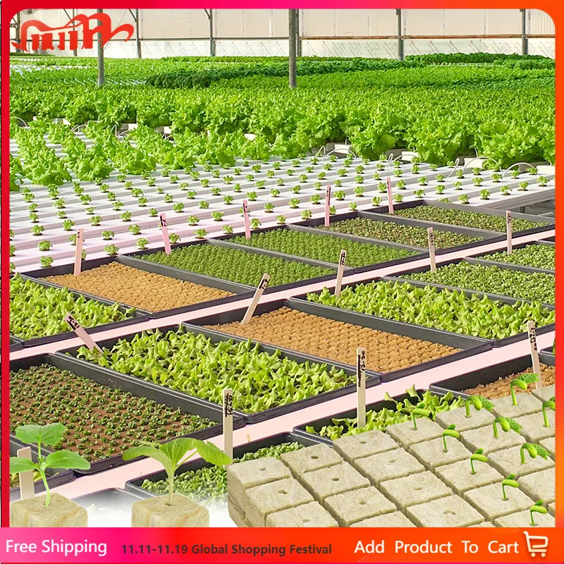 

50Pcs Rockwool Cubes for Hydroponics Seed Starter Plugs, Germination Sponge, Grow Media for Plants Garden