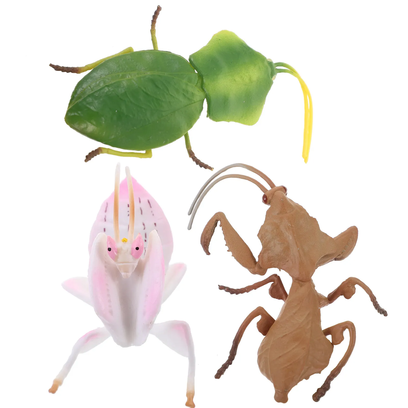 

3Pcs Lifelike Plastic Mantis Ornament Vivid Gesture Home Decor Insect Theme Nursery Garden Kids Learning Tool Simulation Insect