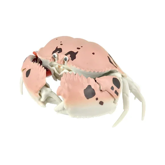 Bandai Gashapon Toys Crab Gashapon Series Simulation Model Crab Action Figure Ornaments Toys for Christmas