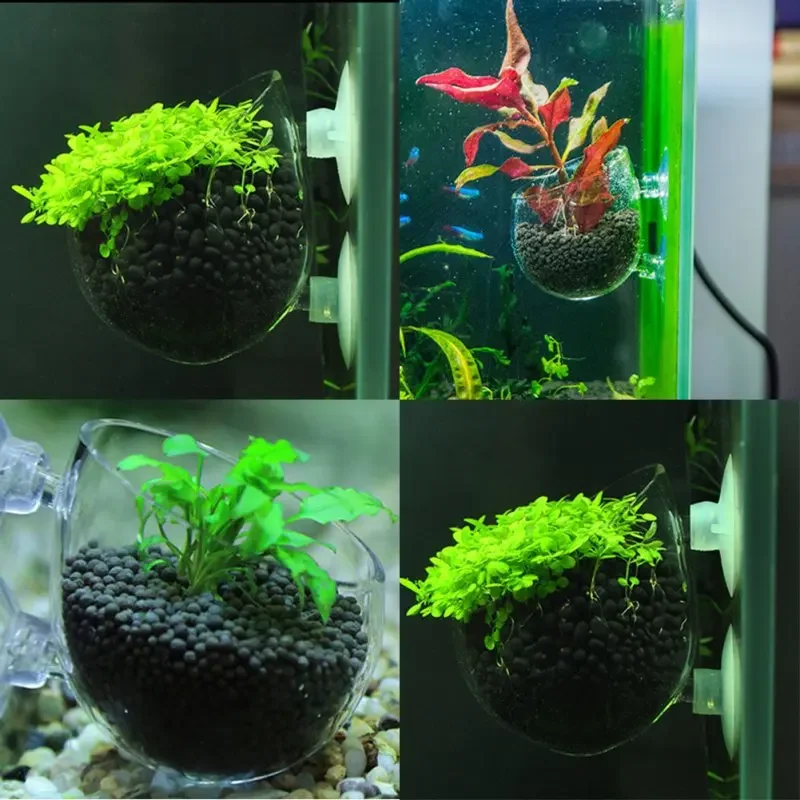 Aquarium Plant Holder Crystal Glass Aquatic Plant Pot with Suction Cups for Fish Tank Aquarium Decorations