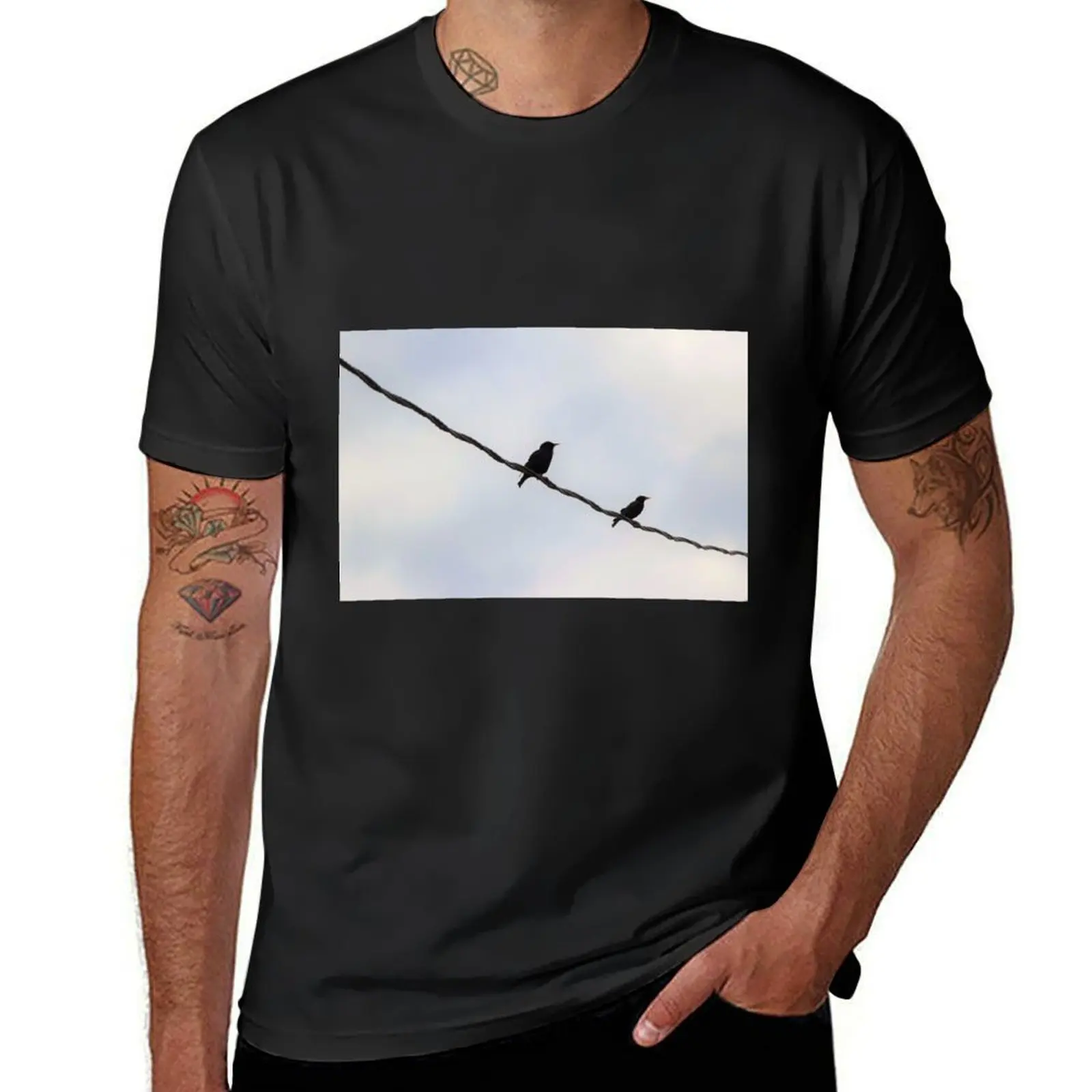 

Bird(s) on a Wire T-Shirt Short sleeve tee Aesthetic clothing vintage clothes mens clothes