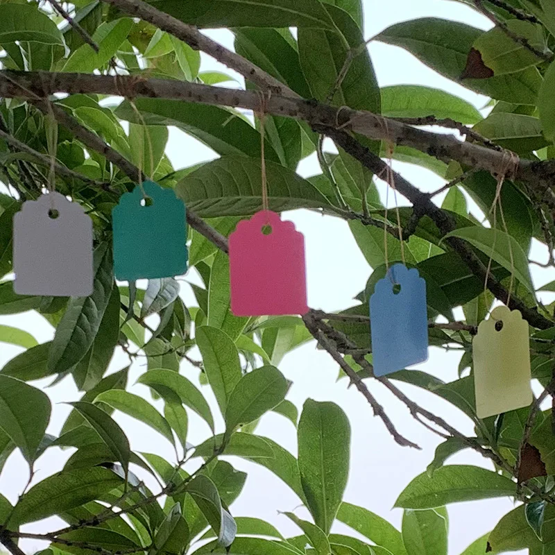 100 Pcs Plant Tags Garden Nursery Label Hanging Tree Markers Seedling Plant Fruit Trees Signs Prompt Card Classification Tool