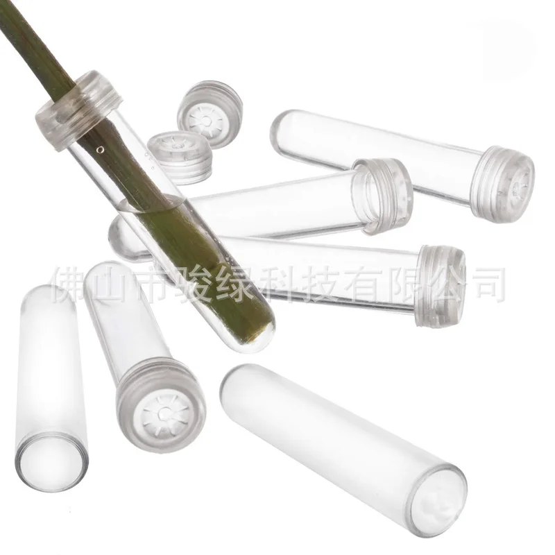 

20pcs Floral Water Tubes Flower Stem Plastic Pipes Cap Nutrient Storage Grow Decoration Hydroponic Cultivation