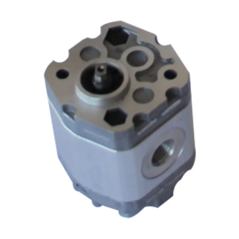 Professional production Mini displacement gear pump hydraulic for hydraulic unit packer