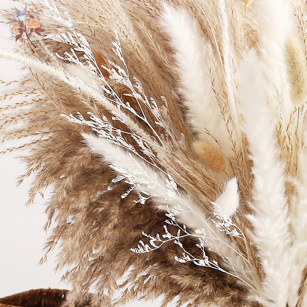 ดอกไม้แห้ง 65 ชิ้น ช่อหญ้าแพมพ - Dried Pampas Bundle บทวิจารณ์และราคา