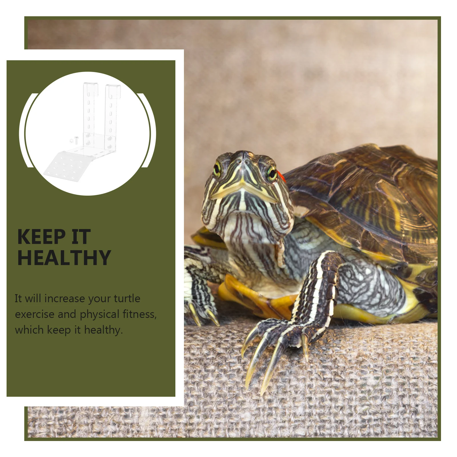 

1Set Acrylic Turtle Basking Platform Climbing Terrace Resting Floating Dock Aquarium Supplies Turtle Platform Tortoise Terrace