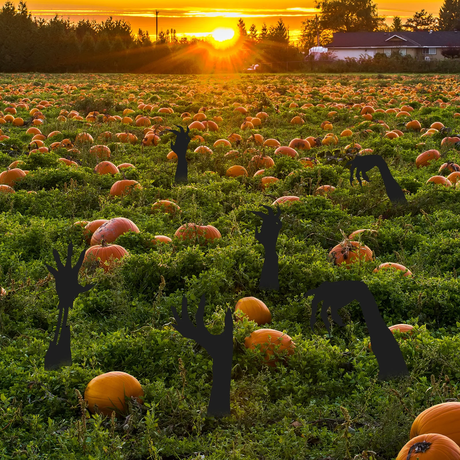 

4Pcs Ghost Hand Decor Halloween Yard Sign Waterproof Garden Decoration Spooky Outdoor Stake Yard Sign Halloween Garden Decor