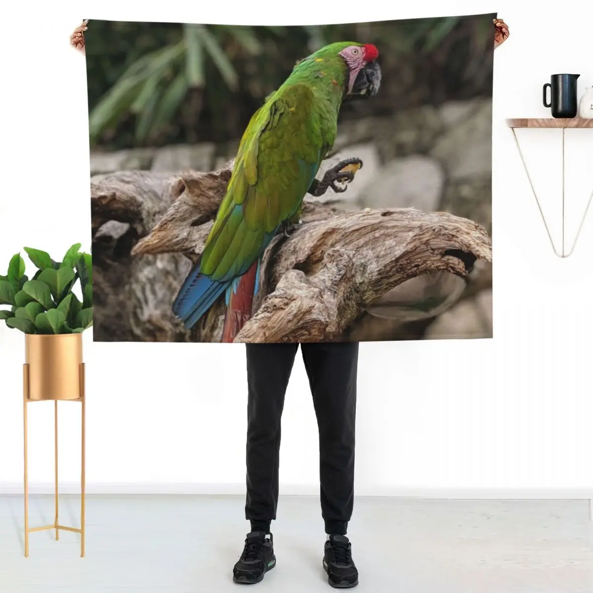 Great Green Macaw Throw Blanket Giant Sofa Soft Decoratives Summer Beddings Hairy Sofa Blankets