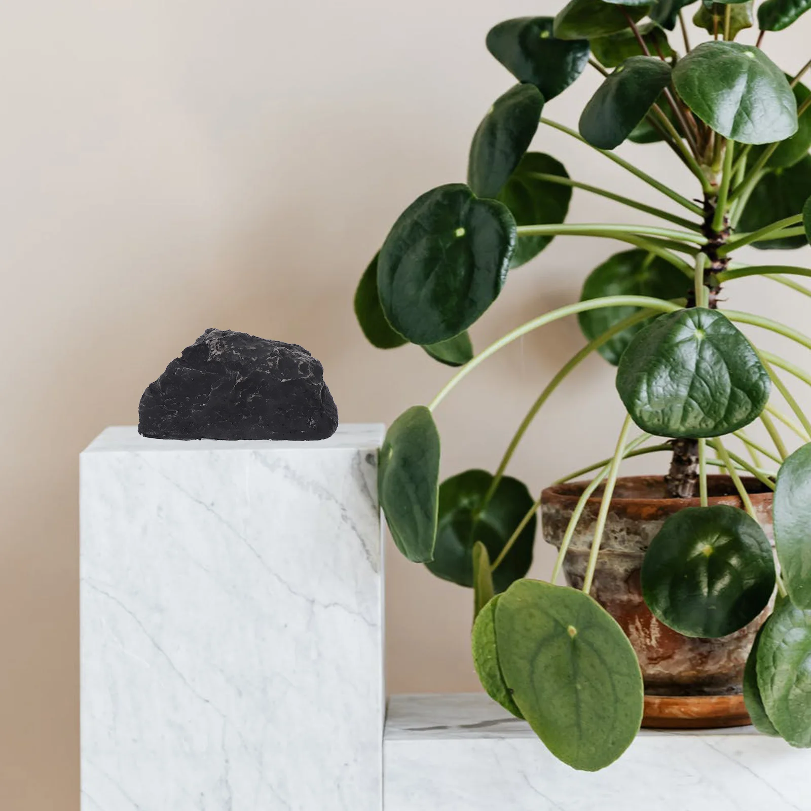 Realistic Fake Waterproof Outdoor Key Hider For Garden Yard Spacious Secure Storage Hide A Holder Emergency