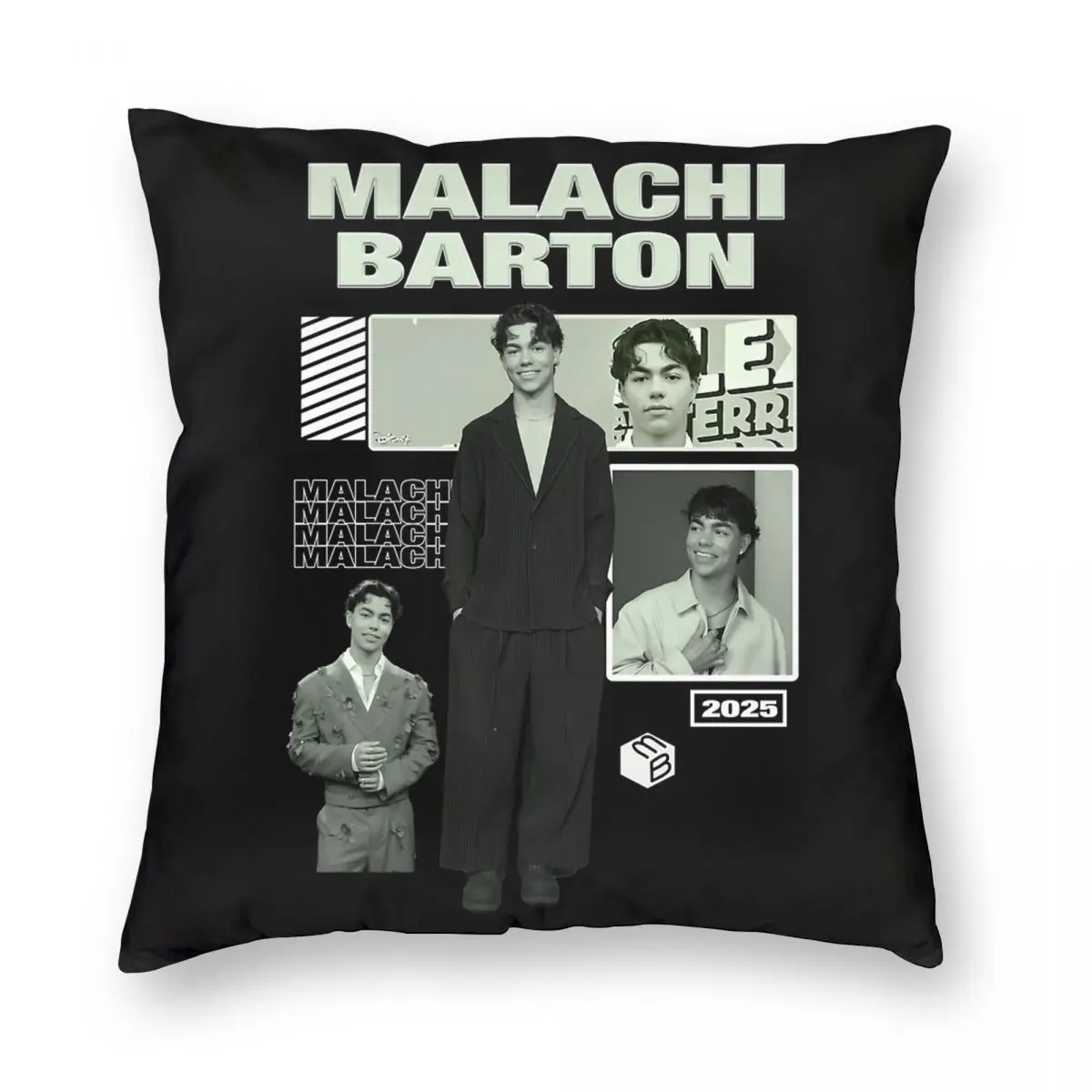 Malachi Barton Pillowcase Printed Fabric Cushion Cover Decorative Pillow Case  Cover Home Square 45X45cm - AliExpress 15