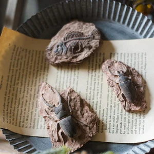 Reptilien- und Kriechterrarium für Kind, fossile Harzharz, Landschaft dekorativer Behälter, 1PC 8 Hauptverkäufe fossiler Harz - №8