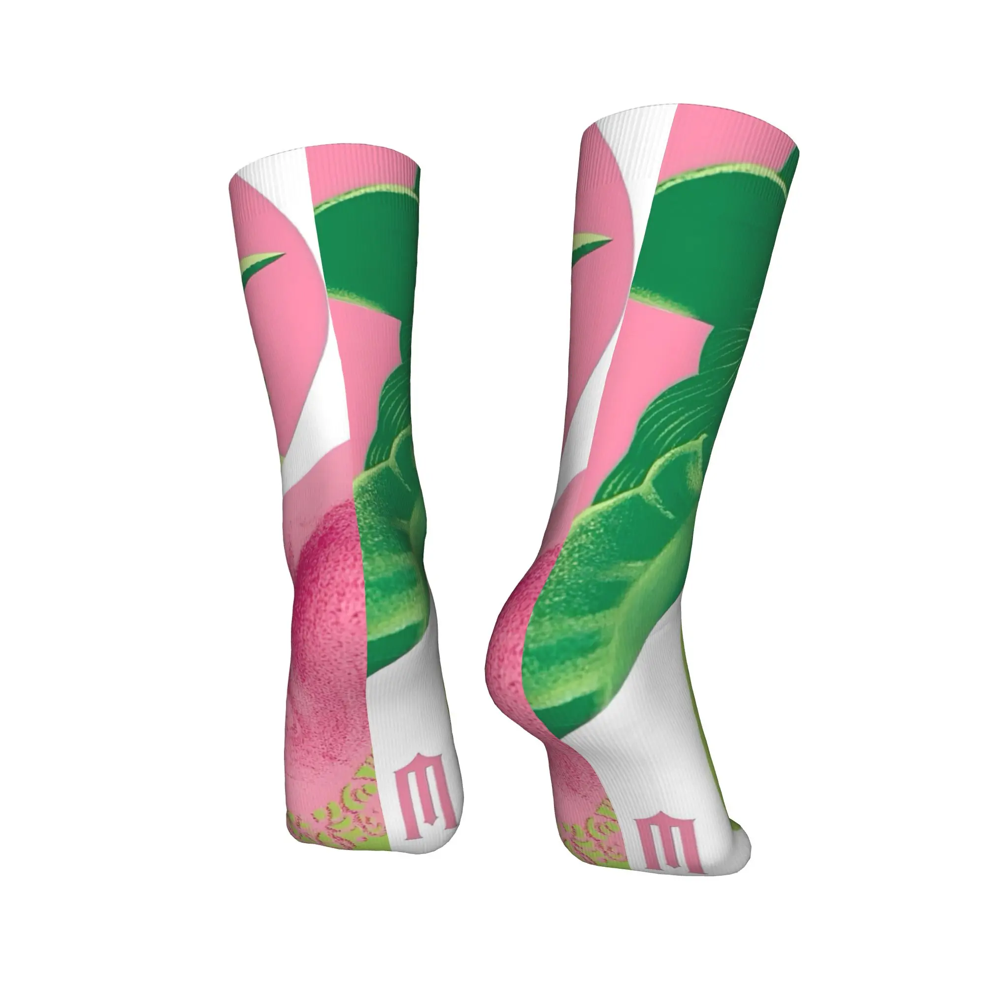Adults Men Socks Wicked Elphaba & Glinda Tonal   Stockings Autumn Vintage Medium Soft Socks Graphic Running Anti Skid Socks