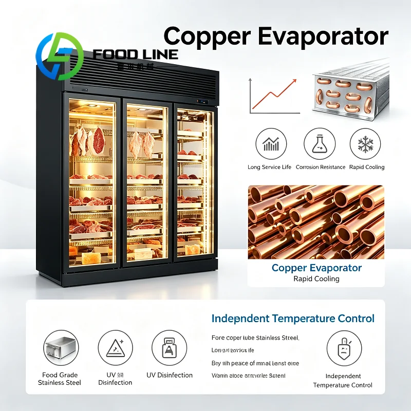 Custom Dry Aging Beef Cabinet Programmable Working Modes Realize Unattended Multi-Day Beef Dry Aging Automatic Operation