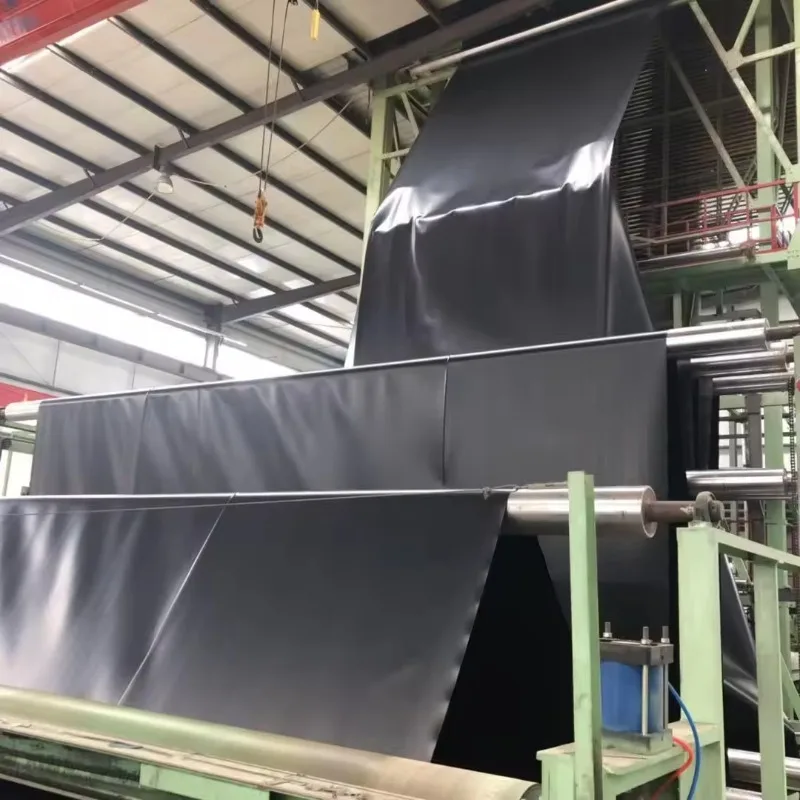 Heavy Duty Custom HDPE Geomembrane Waterproof Sheet for Pond Reservoir Canal Landfill Mining and Construction Projects