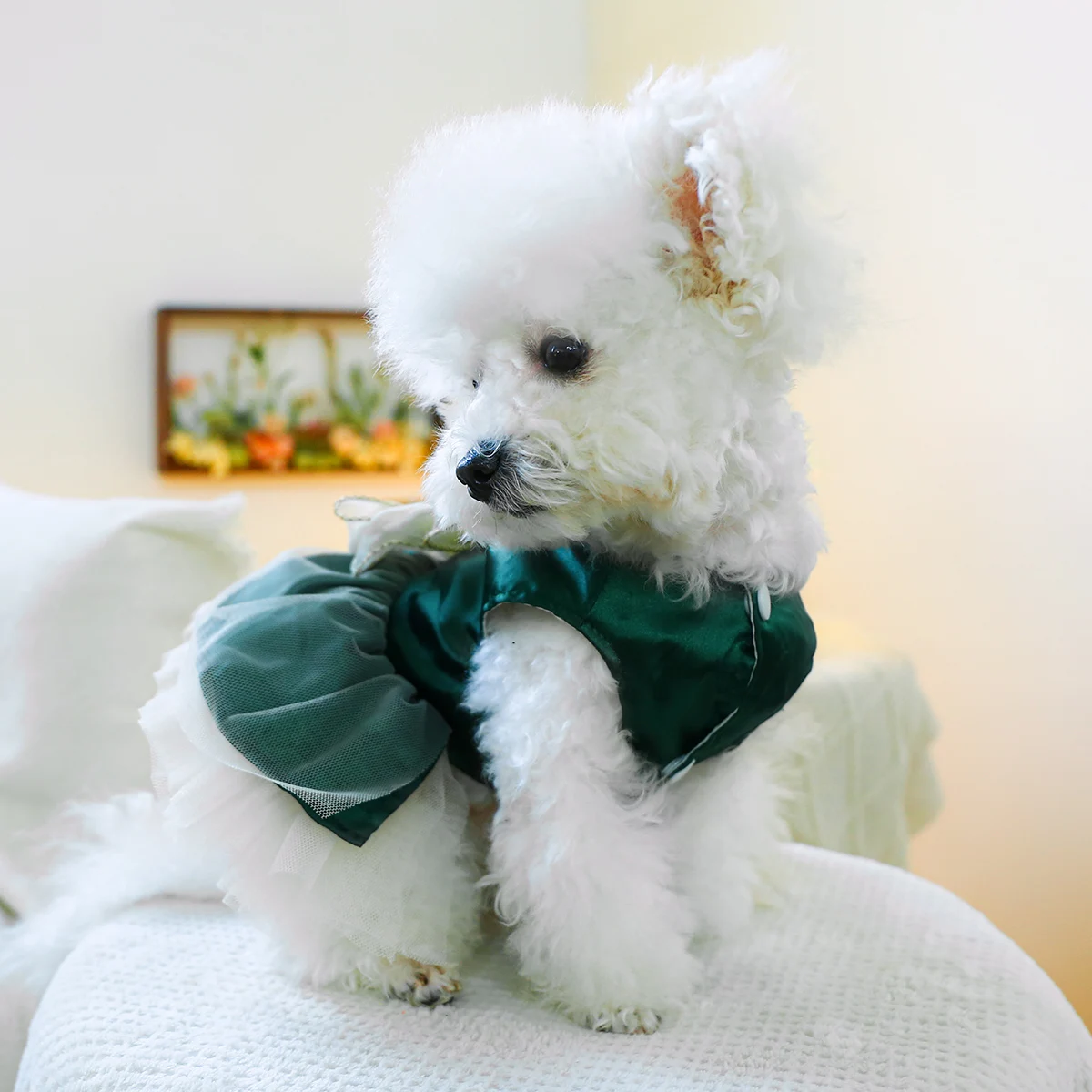 1PC Pet Clothing Cat Spring/Summer Green Tank Top Bow Princess Dress Traction Buckle Suitable for Small and Medium sized Dogs