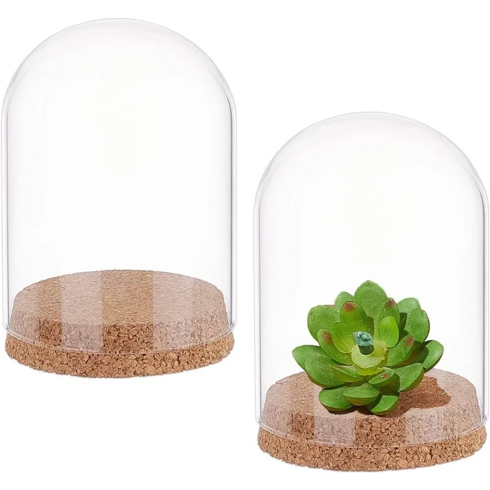 2 Sets Glass Dome with Cork Base 4.72x3.54 Eternal Flower Glass Display Dome Cloche Half Round Clear Glass Display Case