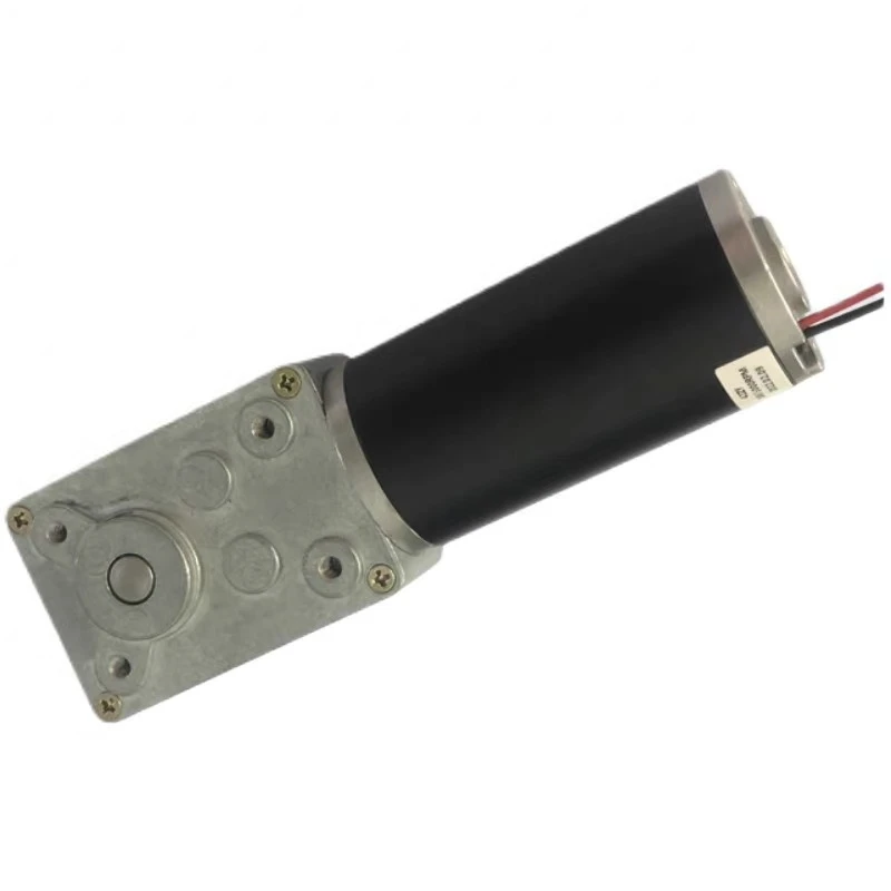 DC reduction motor An induction motor High torque self-locking motor WS-5073GW-42XY-DC-12V-165rmp