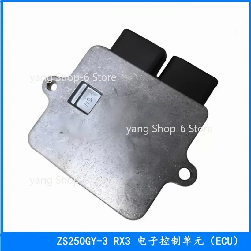Motorcycle EFI Ignition ECU Box Controller for ZongShen Cyclone 250cc NC250 ZS250GY-3 RX3 ZS 250GY-3