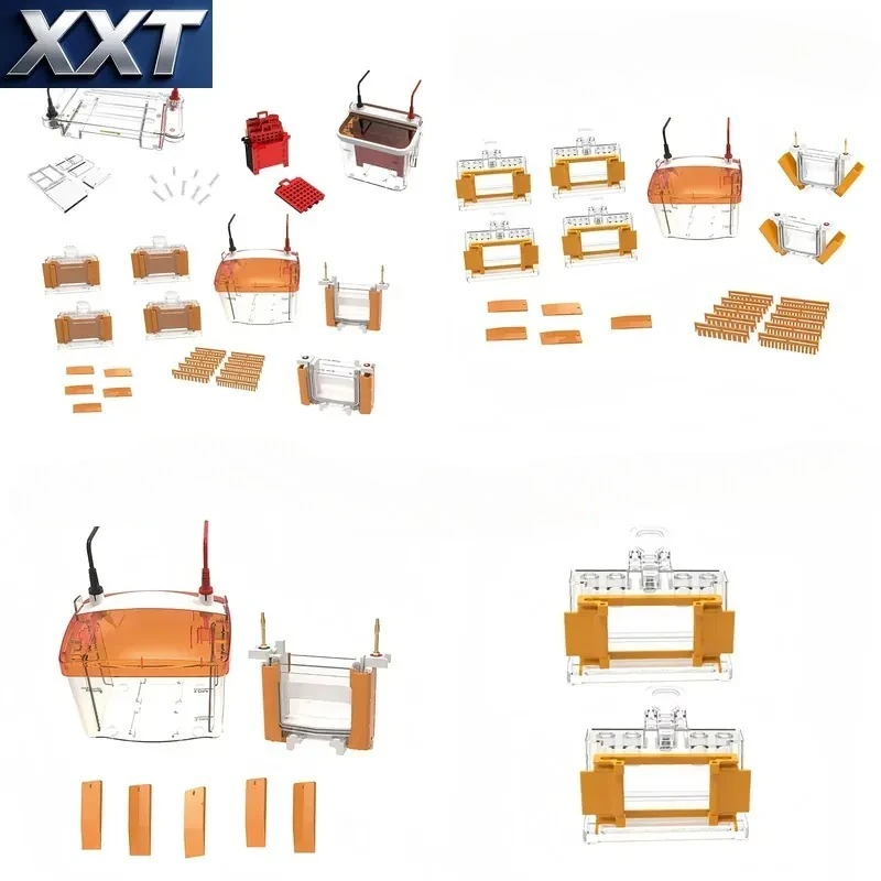 XXT Sickle Genotype Automaton Digital Electrophoresis Machine Vertical Apparatus for SDS PAGE Gel Essential Lab Supply