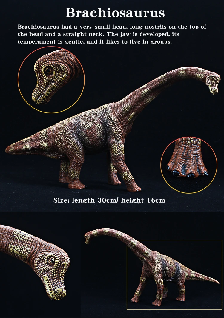 Prähistorische Jurassische Dinosaurier Mosasaurus Saichania Tyrannosaurus Rex Tiermodelle Actionfiguren PVC Hochwertiges Spielzeug für Kinder – Detail 7