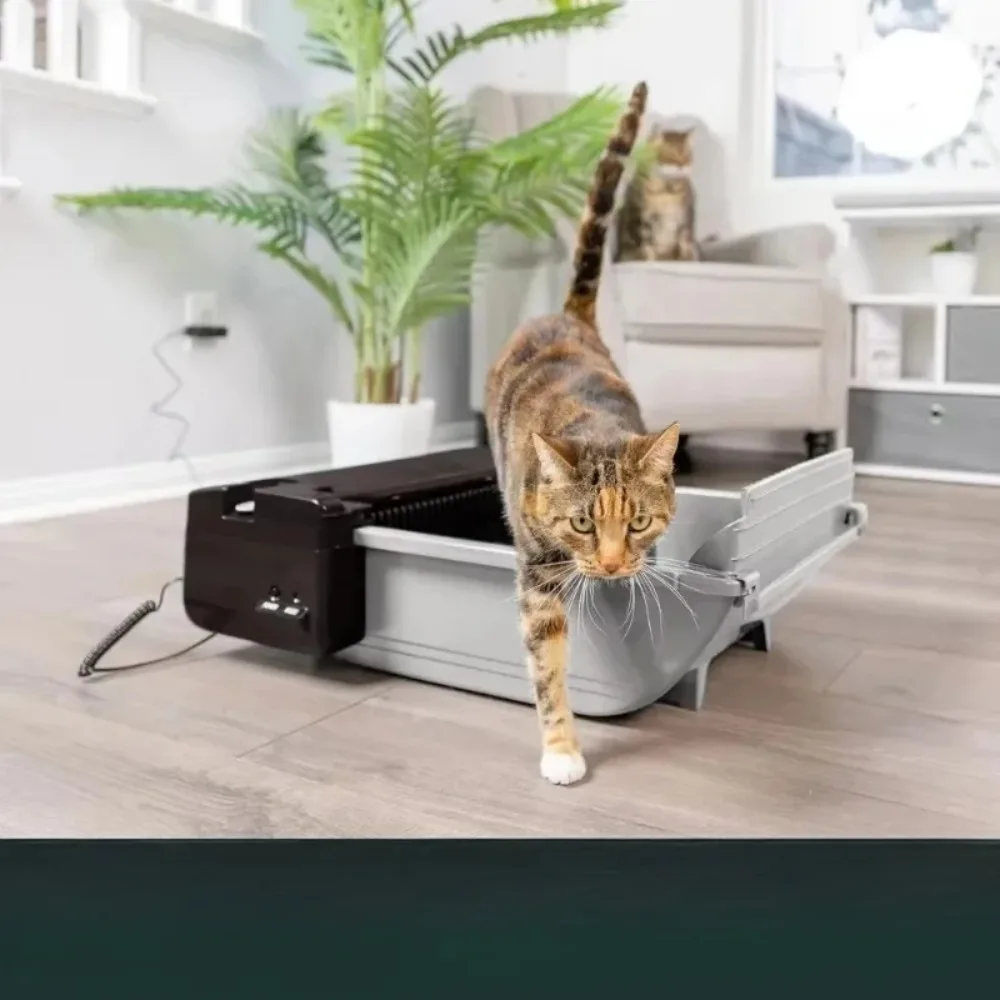 Ferramentas ao ar livre-6 sacos e carbono para até dois gatos. Caixa de areia automática para gatos com autolimpeza - Caixa de areia para gatos Smart Scoop 6-16 libras