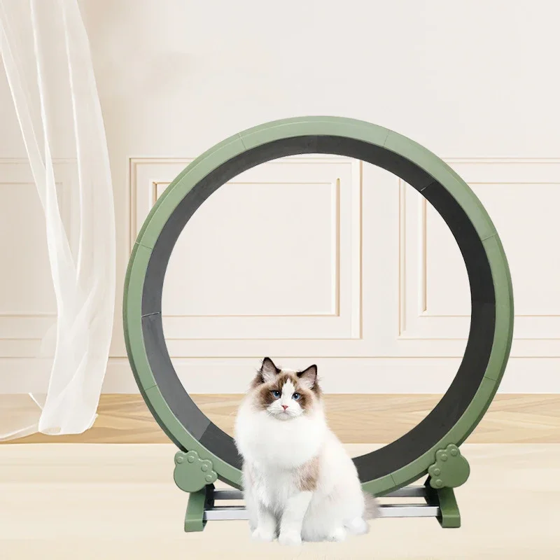 Wholesale ABS Plastic Pet Toys Circular Track Family Interaction Indoor Exercise Pet Treadmill For Cats training running Wheel