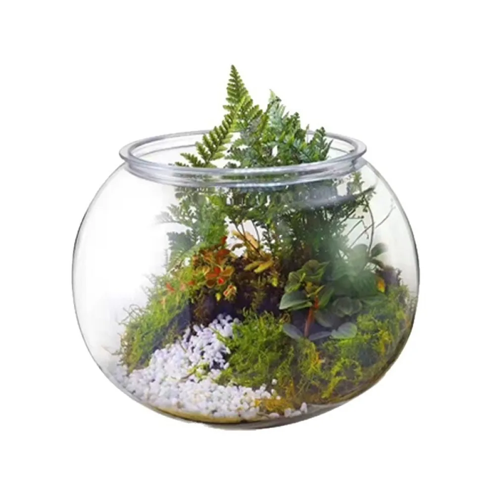Portable Transparent Plastic Aquarium Tank Mini Round Bowl Desktop Goldfish Habitat Creative Office Ornament Landscape