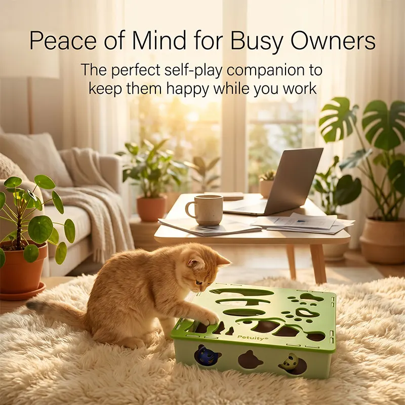 Multi-hole Maze Box Cat Toy with Bell Interactive Foraging Play Box Sandpaper Bottom Kitten Claw Grinding Toys Pets Supplies
