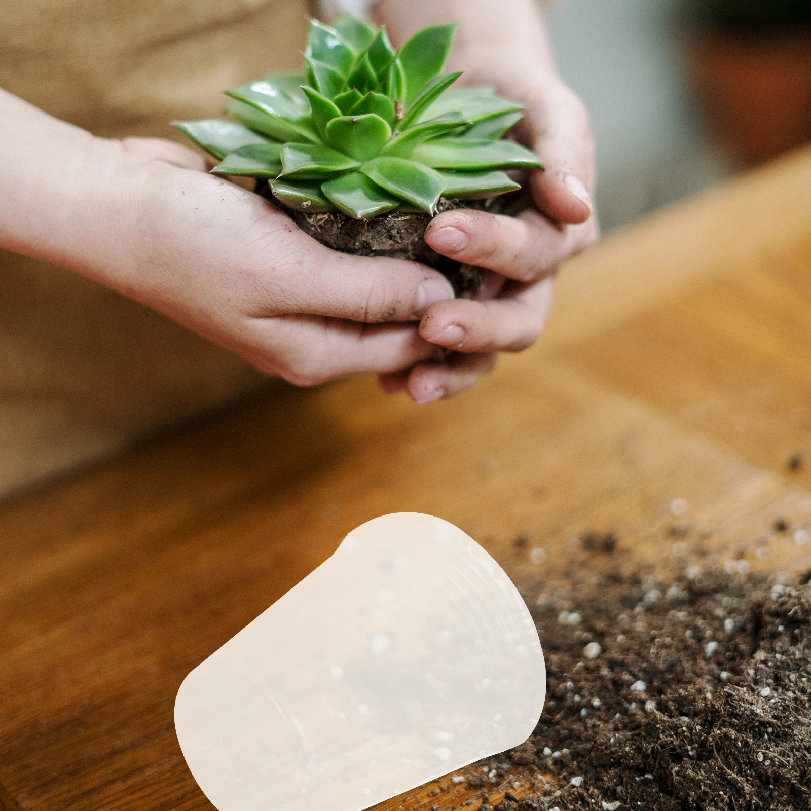 

50 Pcs Nursery Cup Garden Supplies Transparent Planter Flowerpot Clear Pots Hydroponics